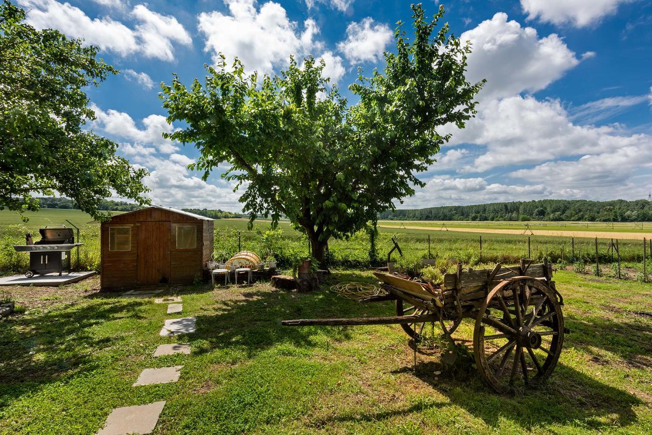 Bed and Breakfast Domaine Du Bois Des Anges Germigny-l'Eveque Zewnętrze zdjęcie